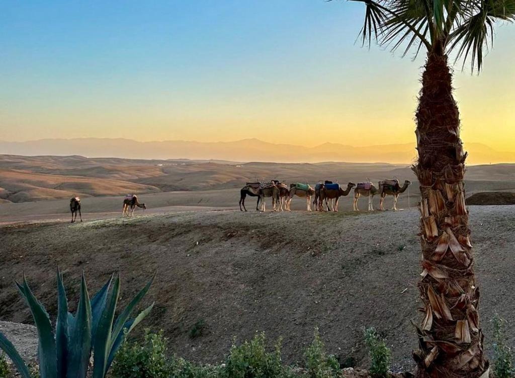 Vue nuit étoilée depuis le camp de luxe Agafay